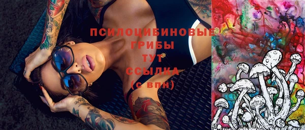 твердый Аркадак