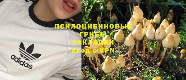 спайс Алексеевка