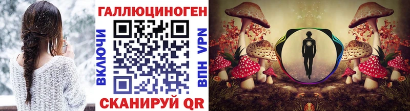 Псилоцибиновые грибы Cubensis Лахденпохья